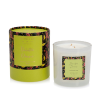 Daintree Dreams 400G SOY CANDLE